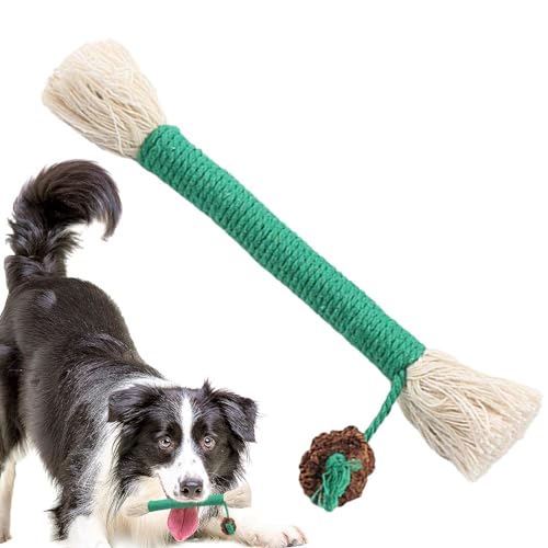 Obesntln Silvervine Sticks für Katzen,Natürliche Silvervine Sticks Katzenspielzeug,Natürliche Silvervine-Sticks für die Zahnreinigung von Kätzchen - Natural Dentals Leckereien für Kätzchen – Fördert von Obesntln