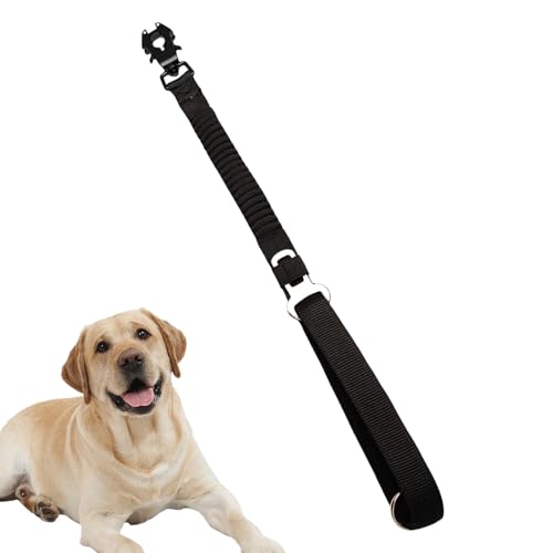 Stoßdämpfendes Hundeseil | Hundeseil, elastische Hundeleinen, kurzes, traktionsstabiles, elastisches Hundeseil für mehr Sicherheit und Komfort bei Spaziergängen, am Strand von Obesntln