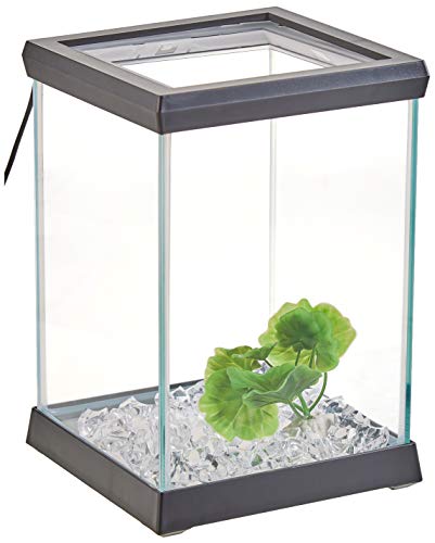 Ocean Free AT619A Kit Betta Space LED, Schwarz von Ocean Free