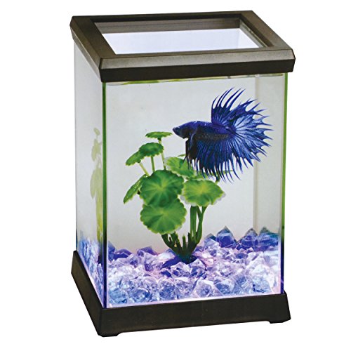 Ocean Free AT619A Kit Betta Space LED, Schwarz von Ocean Free