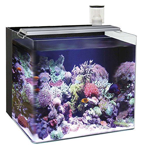 Ocean Free AT641A Nano Aquarium, Marineblau, Schwarz von Ocean Free