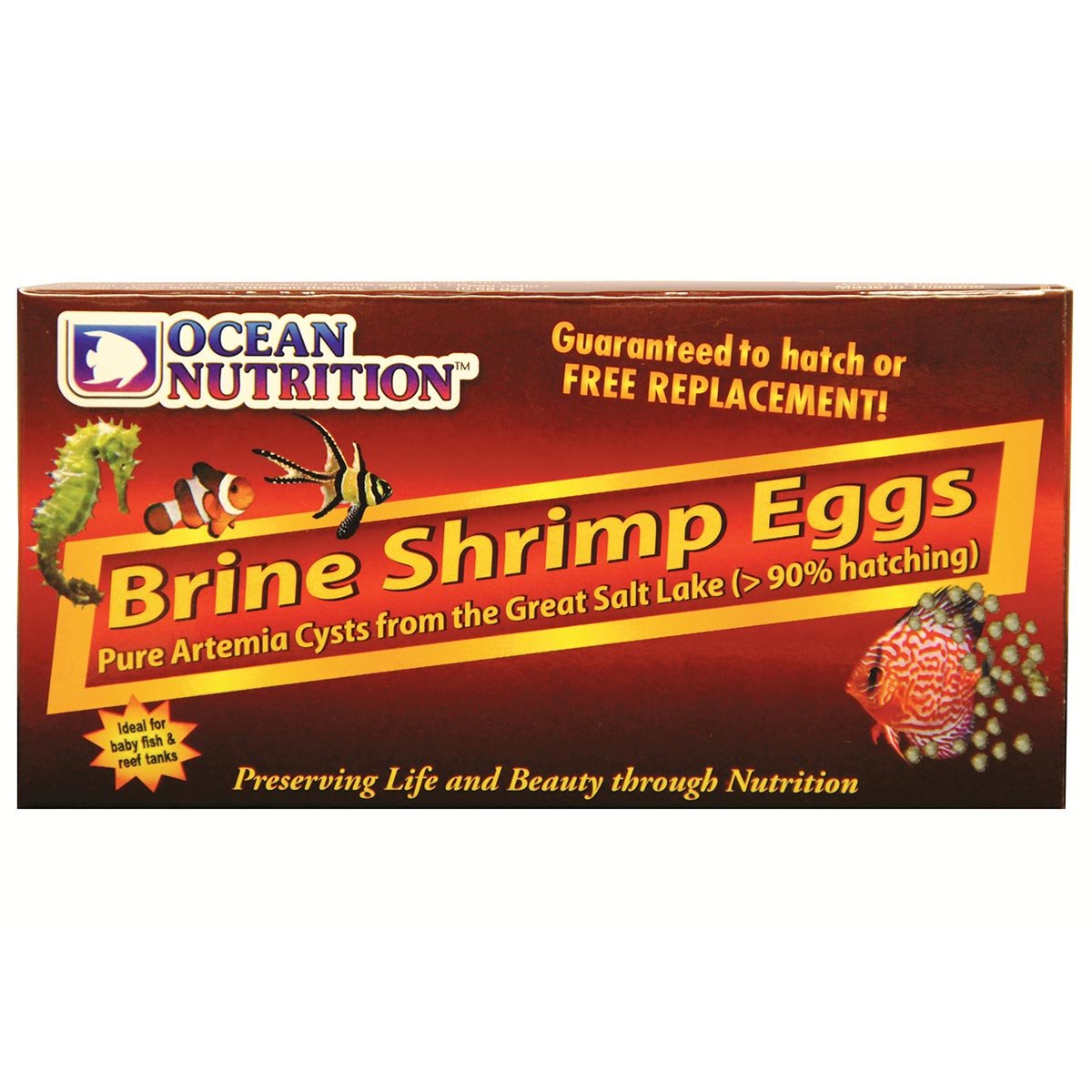 Ocean Nutrition Artemia/Brine Shrimp Eggs 20g von Ocean Nutrition