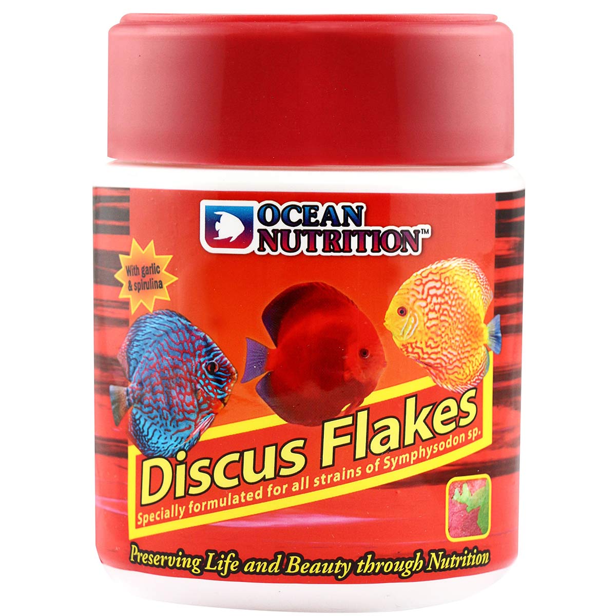 Ocean Nutrition Discus Flakes 34g von Ocean Nutrition