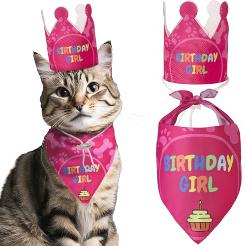 Katzengeburtstagsdekorationen – Katzengeburtstagshut, Krone und Katze Geburtstag Bandana Mädchen, Kätzchen, Katze Geburtstagsgeschenk, Outfit, Happy Cat Party Dekor, Katzenprodukte, Rosa von Odi Style