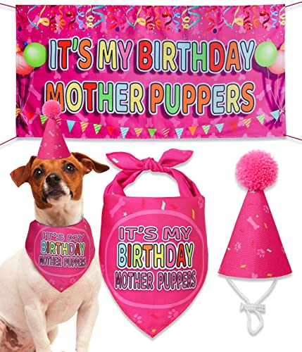 Odi Style Hund Geburtstag Party Supplies - Hund Geburtstag Mädchen Geschenkset - Hund Geburtstag Bandana für kleine Hunde, Welpen, Hund Party Hut und süßes Hund Geburtstag Banner, Rosa von Odi Style