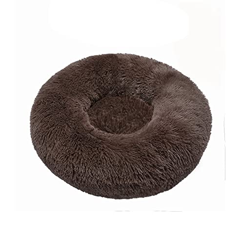 Odot Hundebett Runden Drinnen Donut für Kleine und Mittlere Grosse Haustierbet, Solide Farbe Flauschig Plüsch Warm rutschfest Waschbar Welpe Hundekorb Hundekissenbett (Braun,L(60cm)) von Odot