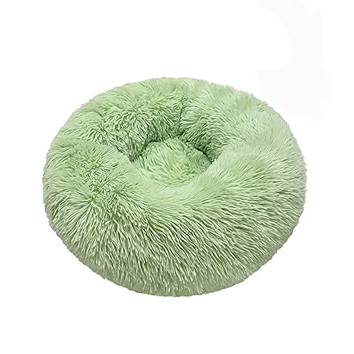 Odot Hundebett Runden Drinnen Donut für Kleine und Mittlere Grosse Haustierbet, Solide Farbe Flauschig Plüsch Warm rutschfest Waschbar Welpe Hundekorb Hundekissenbett (Frucht grün,M(50cm)) von Odot