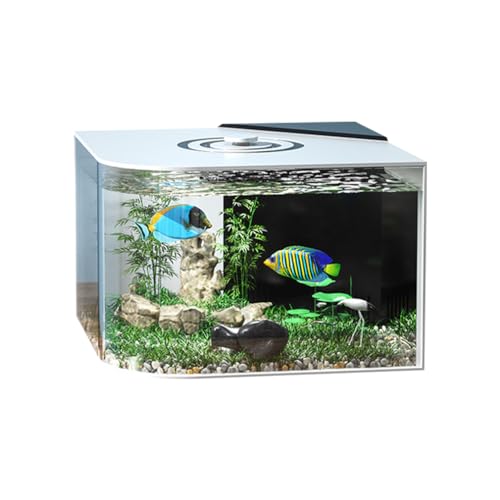 Acryl-Fischbecken mit Luftpumpe, selbstreinigendes Aquarium mit Licht für Tisch- oder Desktop-Display, 26 x 26 x 37 cm von Odpaltoy