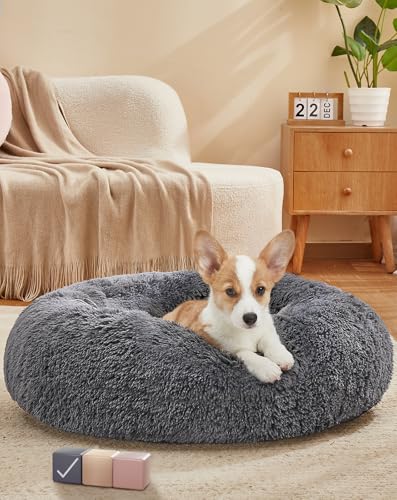 OhGeni Hug Pet Bed H3V1 Donut-Bett, Dunkelgrau, 58,4 cm, Dunkelgrau von OhGeni