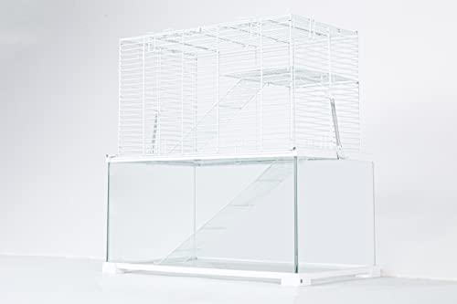 Kleintierterrarium easyclean KIT 50x 30x 50cm (RAK08WST) von Oiibo