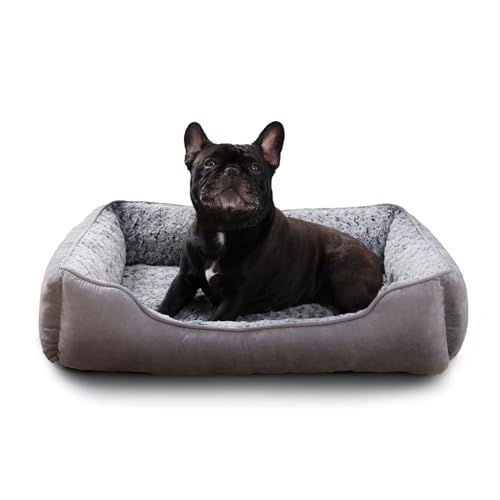 Oiilores Hundebett, waschbar, beruhigendes Anti-Angst-Haustierbett mit rutschfester Unterseite, weiches rechteckiges Plüschbett, mittelgroß, 75 x 55 cm, Grau von Oiilores