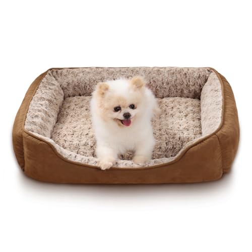 Oiilores Kleines Hundebett, waschbares Hundesofa, beruhigendes Anti-Angst-Haustierbett mit rutschfester Unterseite, weiches Plüsch, rechteckig, Hundebetten für kleine Hunde, 60 x 45 cm, Braun von Oiilores