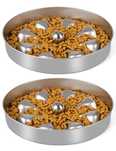 Oiwliur 2er-Pack Slow Feeder Bowls – Edelstahl-Metallnapf für langsames Füttern, doppelseitiges Design, geeignet für Trocken-, Nass- oder Rohfutter, 5 Tassen großes Fassungsvermögen, ideal für alle von Oiwliur