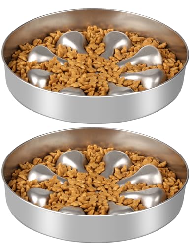 Oiwliur 2er-Pack Slow Feeder Bowls – Edelstahl-Metallnapf für langsames Füttern, doppelseitiges Design, geeignet für Trocken-, Nass- oder Rohfutter, 5 Tassen großes Fassungsvermögen, ideal für alle von Oiwliur