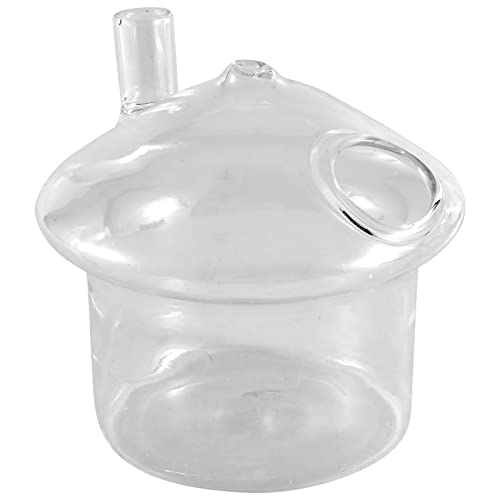 Okeeyseda Förmige Hängende Glas Pflanzer Vase Rumpeln Fisch Aquarium Terrarium Container Haus Garten Dekoration von Okeeyseda