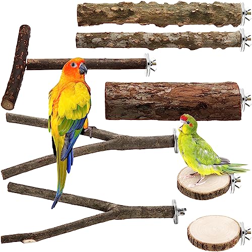 Okllen Set mit 8 Vogelstangen aus Naturholz, Vogel Papagei Stand Plattform, Sittich Spielzeug Stand Äste Vogelkäfig Zubehör für kleine Vögel Conure, Chinchilla, Sittich, Wellensittich, Nymphensittich von Okllen