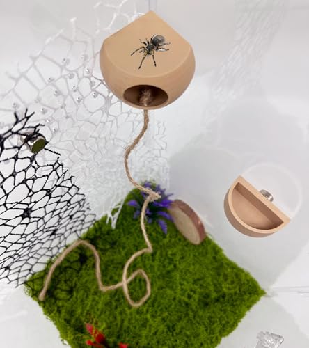 Okueejur Springendes Spinnen-Versteck mit Magneten und springender Spinne, Futternapf, Spinnengehege, Zubehör, Haustierspinnenversteck (ohne Springspinnen-Terrarium) (Beige) von Okueejur