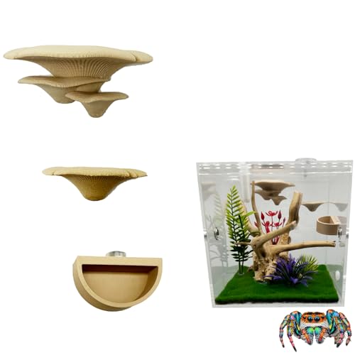 Okueejur Springspinnengehege, Pilz-Lkanten und 1 Packung Wassernapf mit Magneten für Spoods, springende Spinnen, magnetische Leiter, Haustierspinnenzubehör (nicht im Lieferumfang enthalten) (beige) von Okueejur