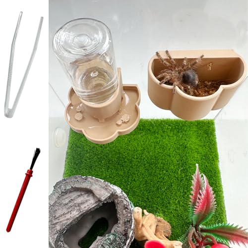 Okueejur Springende Spinne Wasserspender, magnetische hängende Futterschale mit Reinigungsbürste und Pinzette, passend für springende Spinnen, Baumtiere und anderes Kleintierzubehör (Beige, 8 ml) von Okueejur