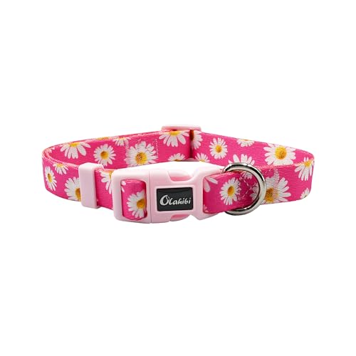 Olahibi Basic Hundehalsband, Gänseblümchen-Blumenmuster, weiches und strapazierfähiges Polyester-Material, verstellbare Länge, für Welpen (XS, Hot Pink Daisy) von Olahibi