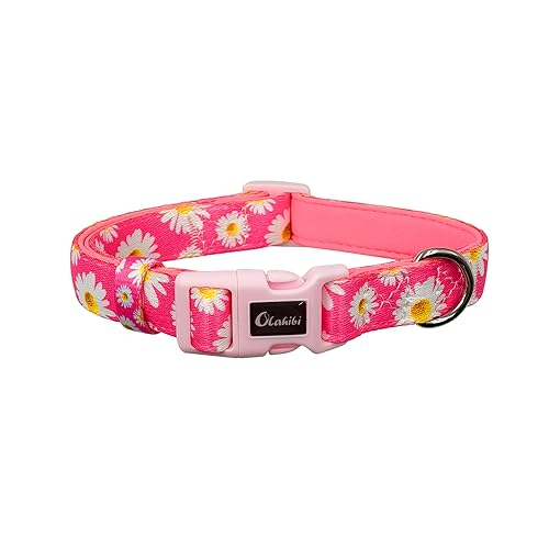 Olahibi Basic Hundehalsband, Polyester-Gurtband, gepolstert mit weichem Neopren, Gänseblümchenmuster, für mittelgroße Hunde (Größe M, Hot Pink Daisy) von Olahibi