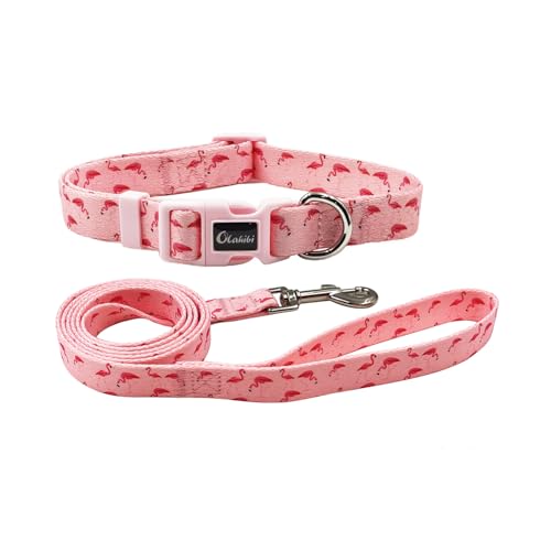 Olahibi Hundehalsband-Leinen-Kombi-Set, Flamingo-Muster, Polyester-Gurtband, Halsband und 150 cm passende Leine, für mittelgroße Hunde (Größe M, rosa Flamingo) von Olahibi