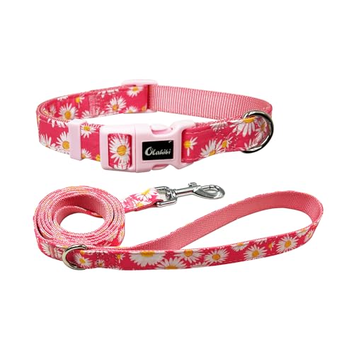 Olahibi Hundehalsband-Leinen-Set, Blumenmuster, Nylon-Gurtband und Baumwollband, 1,5 m passende Leine, für kleine Hunde (Größe S, Rosa Gänseblümchen) von Olahibi