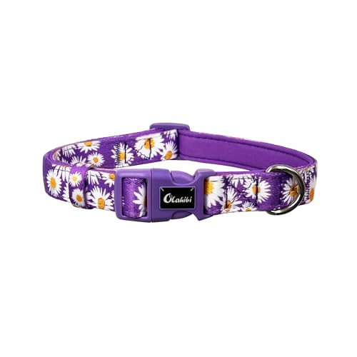 Olahibi Hundehalsband mit Gänseblümchenmuster, Polyester-Material, mit weicher und bequemer Neopren-Polsterung, für kleine Hunde, Größe S, Lila Gänseblümchen von Olahibi