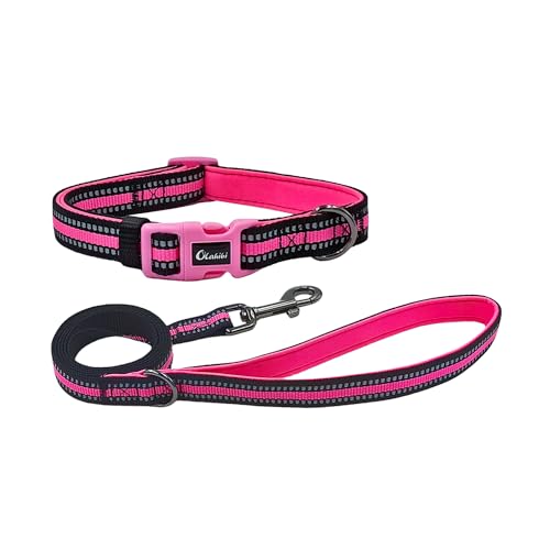 Olahibi Hundehalsband und Leine, Kombi-Set, Neopren, gepolstert, Polyester mit reflektierenden Streifen, Leine 1,5 m, für mittelgroße Hunde (Größe M, Rosa) von Olahibi