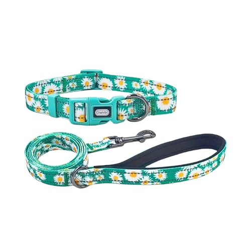 Olahibi Hundehalsband und Leine, Kombi-Set, niedliches Gänseblümchenmuster, Polyester-Material, mit reflektierenden Streifen, 1,5 m lange Leine, für große Hunde (L, Grün) von Olahibi