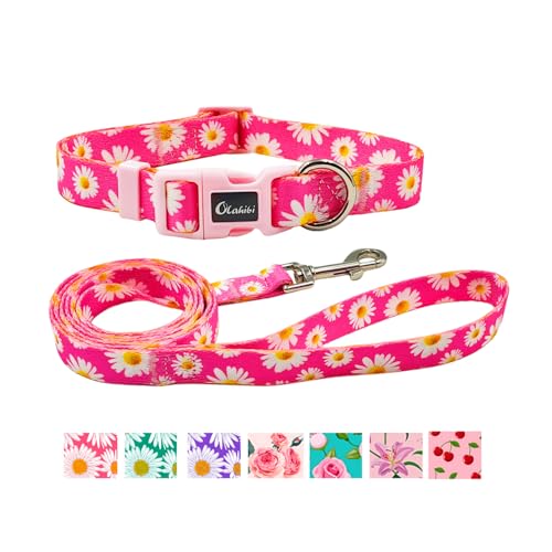 Olahibi Hundehalsband und Leine, niedliches rosa Gänseblümchenmuster, Polyester-Material, 1,5 m Lange Leine, für kleine Hunde (Größe S, Gänseblümchen-Set) von Olahibi