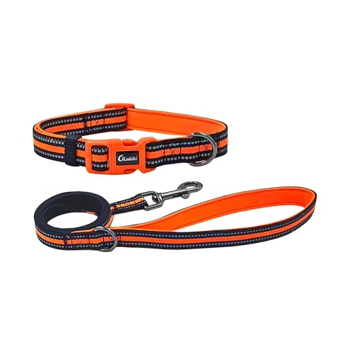 Olahibi Kombi-Set aus Hundehalsband und Leine, Neopren, gepolstert, Polyester mit reflektierenden Streifen, 150 cm passende Leine, für kleine Hunde (Größe S, Orange) von Olahibi