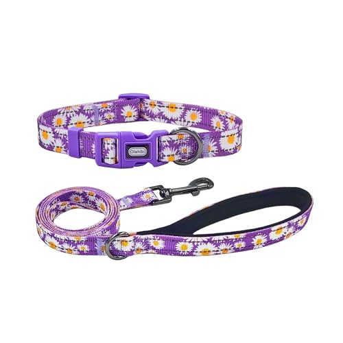 Olahibi Kombi-Set aus Hundehalsband und Leine, niedliches Gänseblümchenmuster, Polyester-Material, mit reflektierenden Streifen, 150 cm lange Leine, für Welpen, Größe XS, Violett von Olahibi