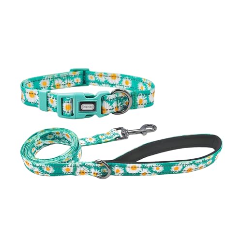 Olahibi Reflektierendes Hundehalsband-Leinen-Set, 150 cm, passende Leine, Blumenmuster, strapazierfähiges Nylon mit reflektierenden Streifen, 4 Größen für kleine, mittelgroße und große Hunde (Größe M, von Olahibi