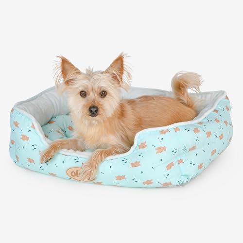 olchi Bear Square Bed M Mint Hundebett von Olchi