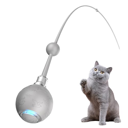 Elektrische Katzenball Spielzeug Mit Seil,3 Modi Interaktiver Katzenball Mit Bewegungsstimulation - Mit Schwanzspiel Automatisch Aufladbar Für Jagdtraining Bewegung Indoor Outdoor Katze Hund Elektrische Katzenball Spielzeug Mit Seil,3 Modi Interaktiver Katzenball Mit Bewegungsstimulation - Mit Schwanzspiel Automatisch Aufladbar Für Jagdtraining Bewegung Indoor Outdoor Katze Hund von Oldmoom