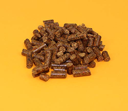 Olewo Karottenpellets mit Öl 25kg Das Beste aus der Karotte! Mit Messbecher. von Olewo