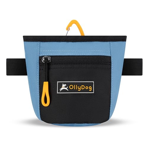 OllyDog Goodie Treat Bag, Leckerlibeutel Hund, Taillengürtelclip für freihändiges Training, Magnetverschluss, Hundetraining und Verhaltenshilfen, Drei Tragemöglichkeiten (Pazifikküste) von OllyDog