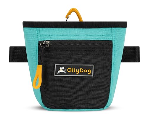 OllyDog Goodie Treat Bag, Leckerlibeutel Hund, Taillengürtelclip für freihändiges Training, Magnetverschluss, Hundetraining und Verhaltenshilfen, drei Tragevarianten (Bright Aqua) von OllyDog