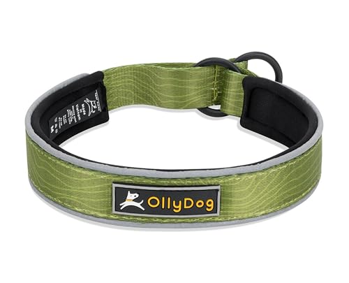 OllyDog Martingale Reflektierendes Komfort-Halsband, reflektierendes Schlupfhalsband für Nachtläufe, weiches Neopren gepolstert, extra Komfort für aktive Hunde (groß, Kaktus-Holzmaserung) von OllyDog