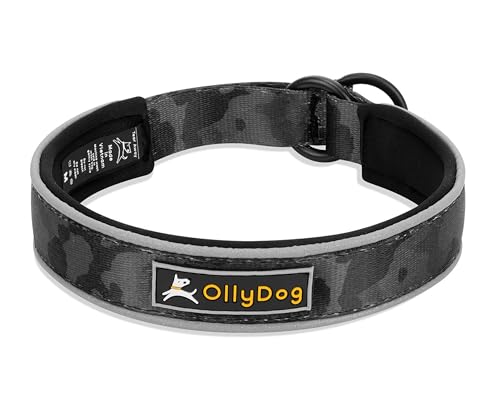 OllyDog Martingale Reflektierendes Komfort-Halsband, reflektierendes Schlupfhalsband für Nachtläufe, weiches Neopren gepolstert, extra Komfort für aktive Hunde (klein, Dream Camo) von OllyDog