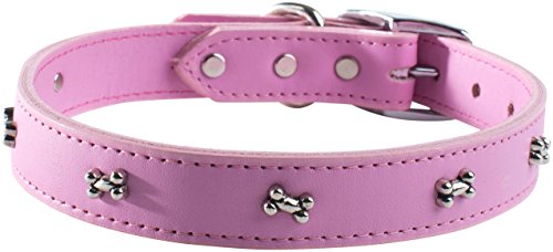 OmniPet 6069-BN-RS14 Signature Hundehalsband aus Leder mit Knochenverzierungen, Rose, 35,6 cm von OmniPet