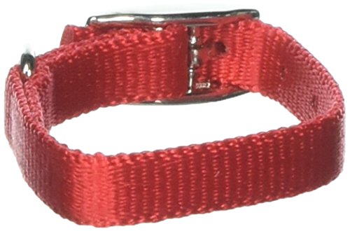 OmniPet Pocket Pups Nylon Pet Collar, 5-6", Red von OmniPet