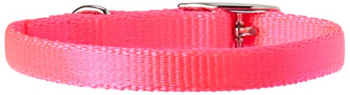 OmniPet Pocket Pups Nylon Pet Collar, 7-8", Hot Pink von OmniPet