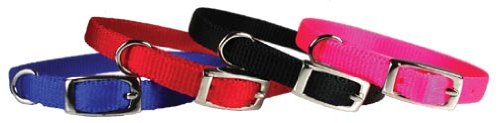 OmniPet Pocket Pups Nylon Pet Collar, 8-10", Blue von OmniPet