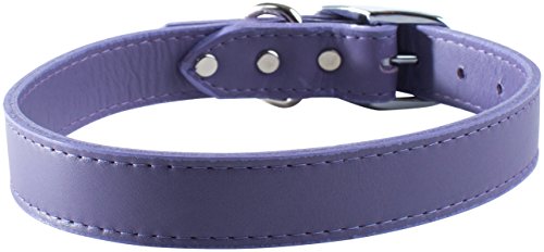 OmniPet Signature Hundehalsband, Leder, 1/2 by 12", Lavendel von OmniPet