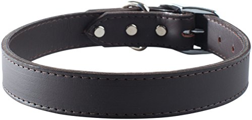 OmniPet Signature Hundehalsband, Leder, 1/2 by 12", Sandfarben von OmniPet