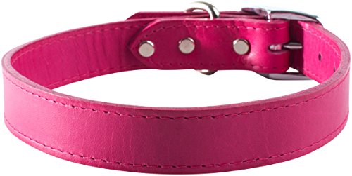 OmniPet Signature Hundehalsband, Leder, Himbeere, 1,27 x 25,4 cm von OmniPet