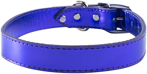 OmniPet Signature Hundehalsband, Leder, metallisches Violett, 1,27 x 35,6 cm von OmniPet