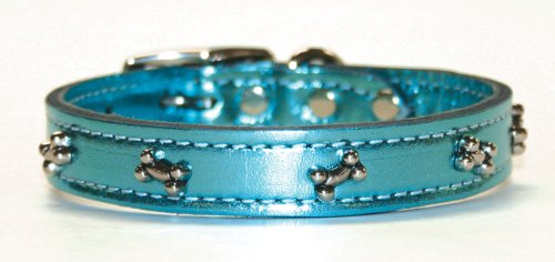 OmniPet Signature Hundehalsband aus Leder mit Knochenverzierungen, 45,7 cm, Türkis metallic von OmniPet